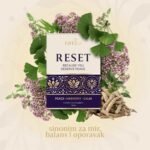 RESET